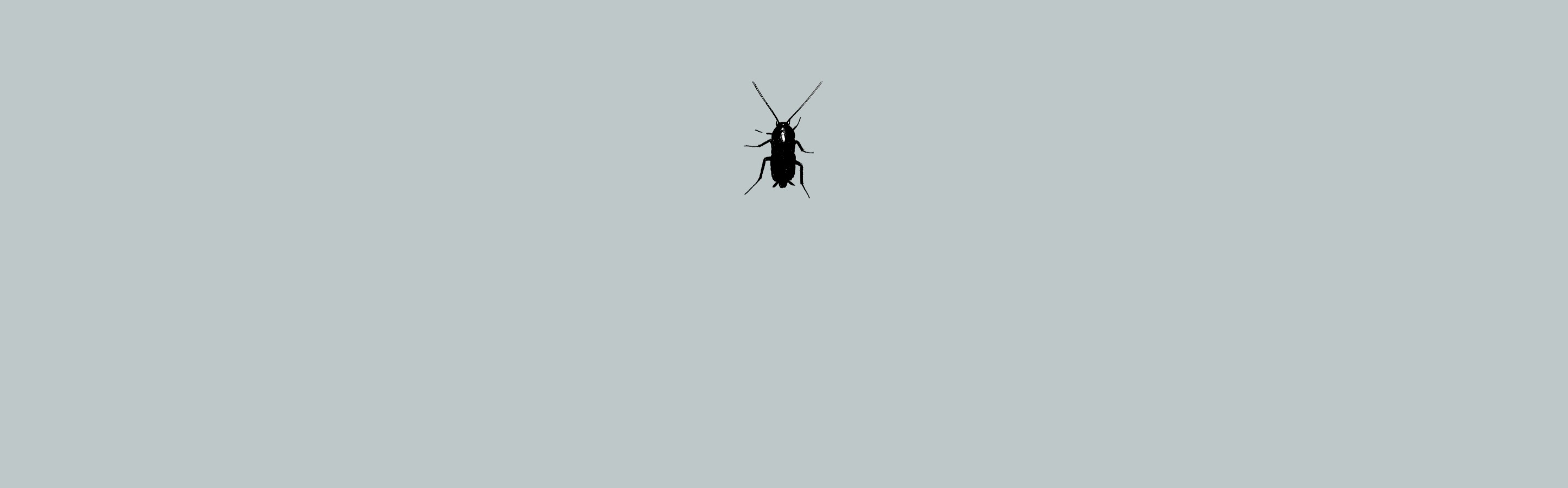 Metamorphosis